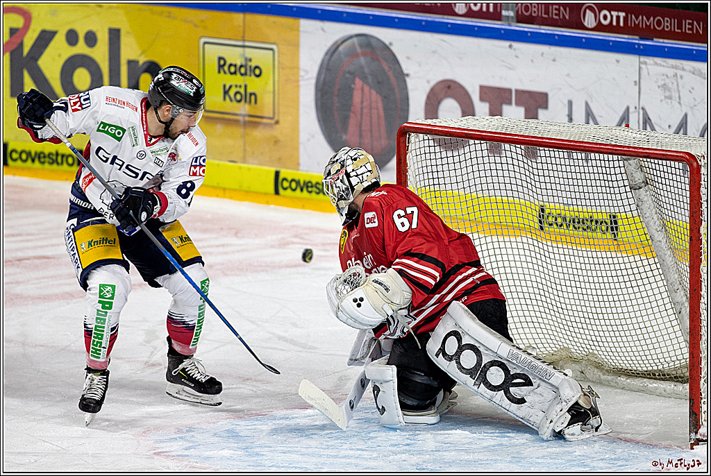DEL;  Koelner Haie - Eisbaeren Berlin; Koeln, 06.03.2020